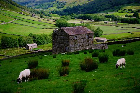 Swaledale, Yorkshire Dales, Summer — Ian Cylkowski Photography. Photography