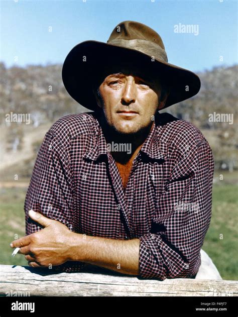 Robert Mitchum / The Sundowners / 1960 directed by Fred Zinnemann [Warner Bros. Pictures] Stock ...