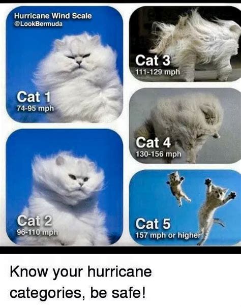 Pin by David Mettler on LOL Cats | Hurricane winds, Hurricane memes ...