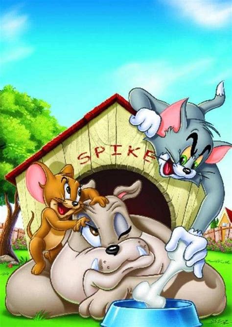 Tom and Jerry and Spike | Tom and jerry wallpapers, Tom and jerry, Spike tom and jerry