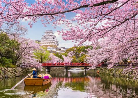 Visiting Japan in April 2024: Complete Guide to Weather, What to See & Do | LIVE JAPAN travel guide