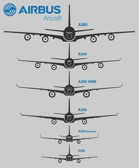 Size comparison between modern Airbus aircraft. | Pilots aviation ...