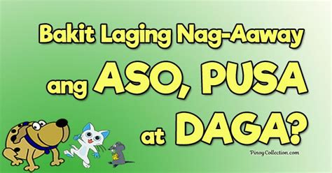 Bakit Laging Nag-Aaway ang Aso, Pusa at Daga. Noong unang panahon, ang mga hayop ay ...