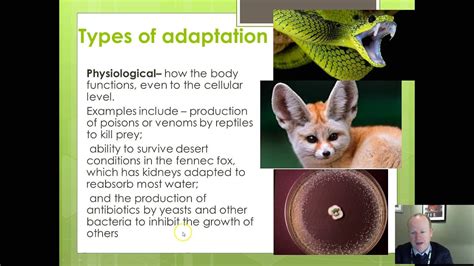 OCR Biology Evolution part 3 - adaptations - YouTube