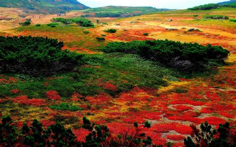 Hokkaido autumn travel blog — 15 Top things to do & best places to visit in Hokkaido during ...