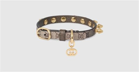 Extra-small pet collar in beige and ebony canvas | GUCCI® US