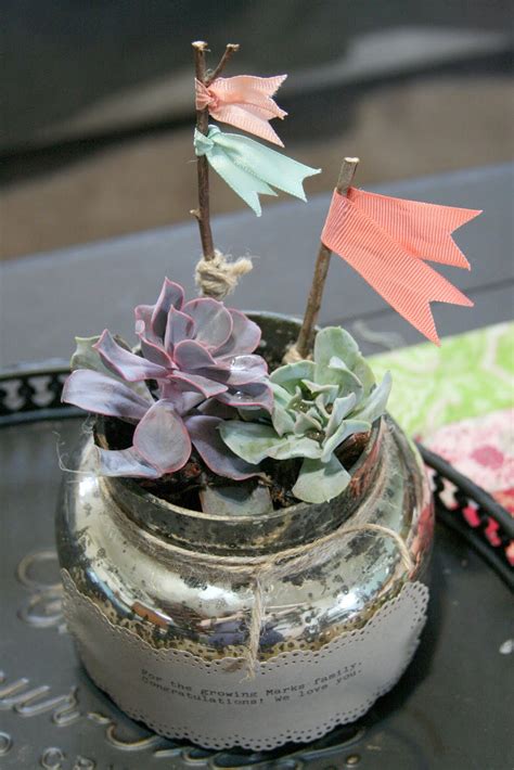 walk with me, darling: DIY succulent arrangement