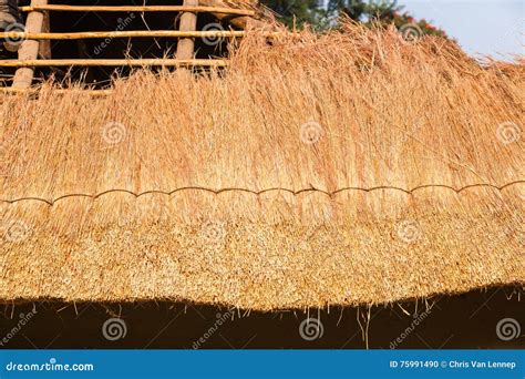 Roof Grass Thatching Construction Stock Photo - Image of african, grass ...