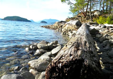 nature walk: desolation sound marine park, bc - Imagine Childhood : Magic & Memories That Last a ...