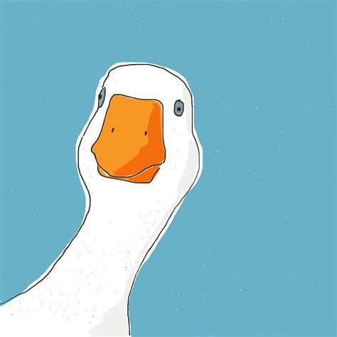 Pin on DUCK/GOOSE