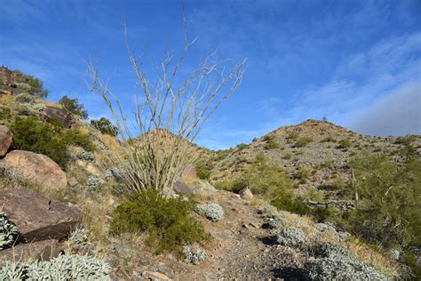 Hiking in Buckeye, AZ: Skyline Regional Park's Javelina Summit: Pics