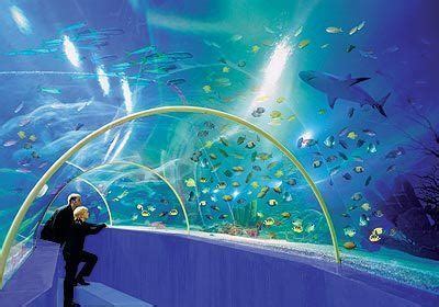 Blue Reef Aquarium - Alchetron, The Free Social Encyclopedia