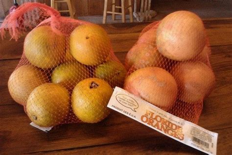 Showcase of Citrus is one of the very best things to do in Orlando