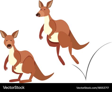 Kangaroo hopping on white background Royalty Free Vector