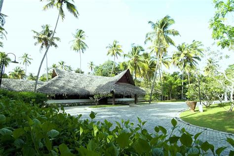 Marari Beach Resort – CGH Earth Group - Truly India Tours