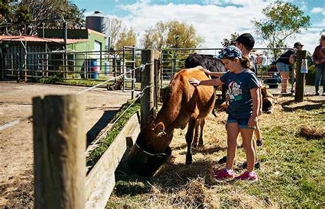 What’s On: Connect with the land and Aotearoa’s farming community at ...