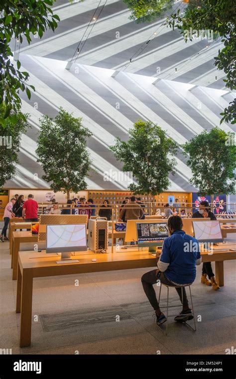 Apple Store, The Grove, Los Angeles, California, United States of ...