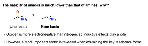 5 Key Basicity Trends of Amines – Master Organic Chemistry