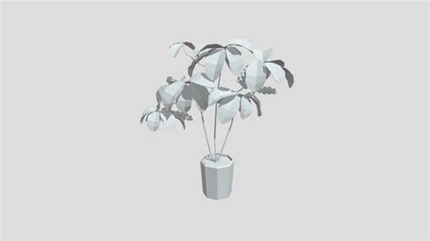 Coffee plant from Poly by Google - Download Free 3D model by IronEqual ...