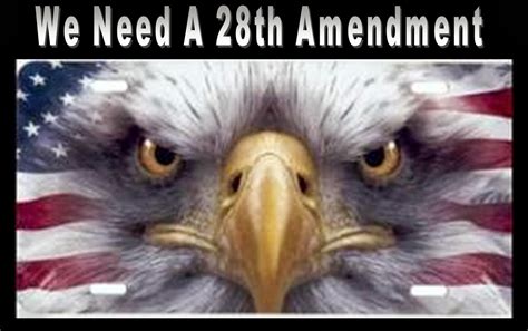 Saving America: We Need a 28th Amendment