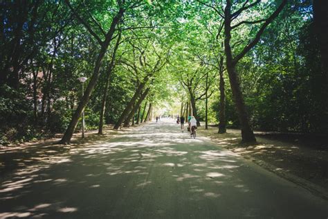 Exploring Amsterdam Parks and Playgrounds: 5 Perfect Spots for Family Fun - Fun Amsterdam