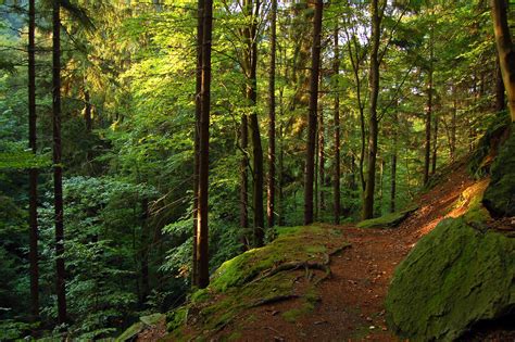 TV-Tipp: Dokumentation über der Freischütz vom Thüringer Wald