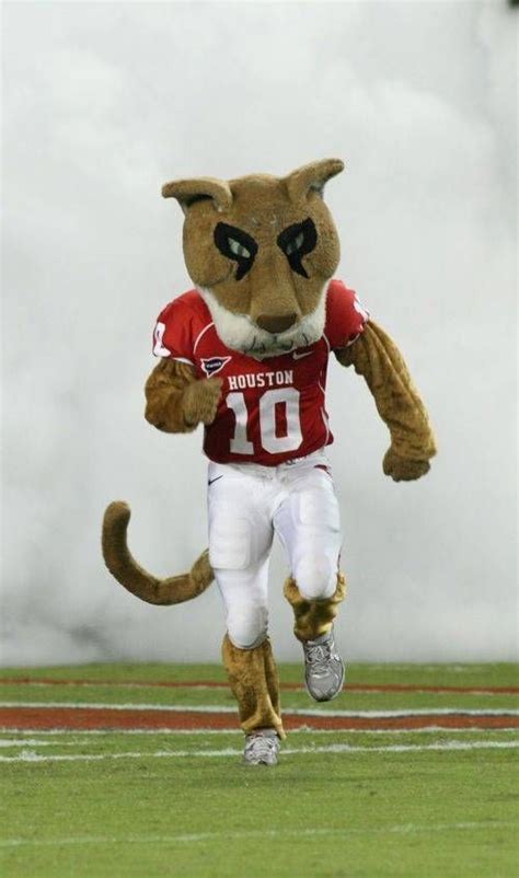 Pin by UniSunn 144 College Football B on College Football Mascots | Mascot, Houston cougars ...