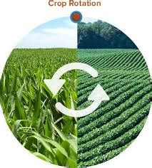 Advantages of Crop Rotation | North Carolina Cooperative Extension