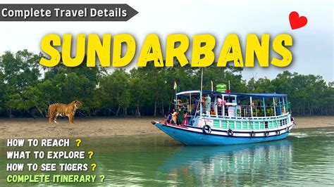 Sundarban Tour | Sundarban Vlog | Sundarban Tour Package Hindi ...