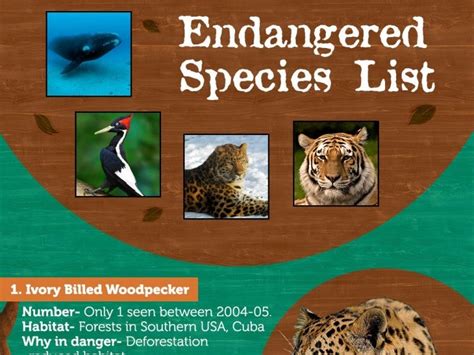 World's Top 10 Endangered Species List- General Knowledge for Kids