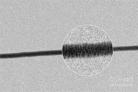 High-contrast Direct Dna Image, Tem Photograph by Professor Enzo Di Fabrizio, Iit - Fine Art America