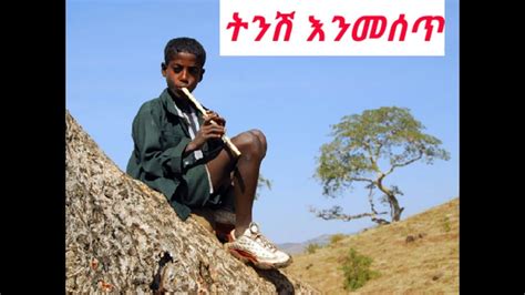 Ethiopia:Ethiopian classical music-ምርጥ በመሳሪያ ብቻ የተቀነባበረ ሙዚቃ - YouTube