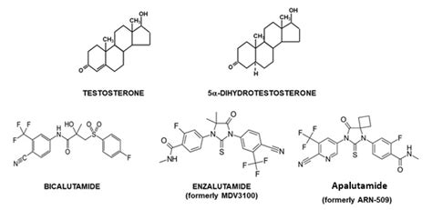 Figure 1. [Structure of testosterone and 5α-dihydrotestosterone and ...