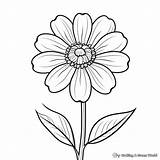 Zinnia Coloring Pages  Free & Printable sketch template
