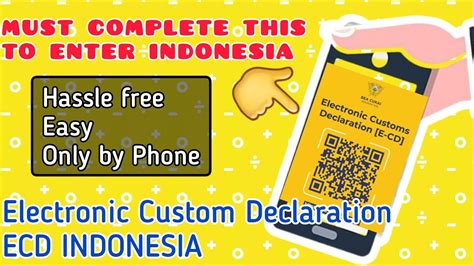 How to Complete Electronic Custom Declaration Indonesia #enterindonesia2023 - YouTube