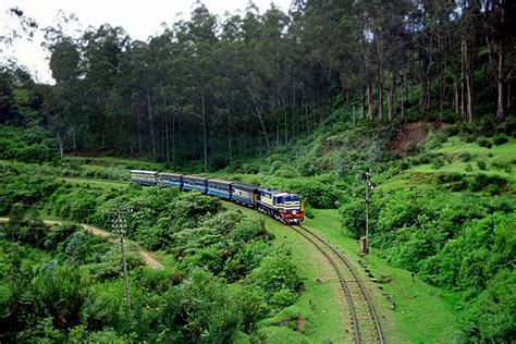 Top 10 Things to Do in Ooty, Tamil Nadu - Tusk Travel