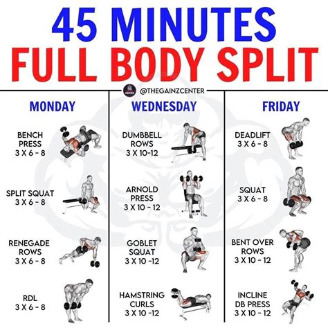 ⭐ FITNESS I NUTRITION I DIET ⭐ on Instagram: "45 MINUTES FULL BODY WORKOUT - - - @the… | Full ...