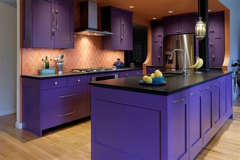 Purple Kitchen Cabinets | Kitchen remodel, Kitchen cabinets, Purple kitchen cabinets