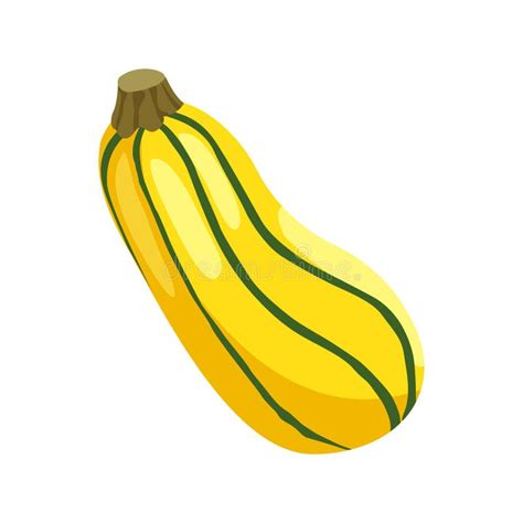 Delicata Squash Stock Illustrations – 112 Delicata Squash Stock Illustrations, Vectors & Clipart ...