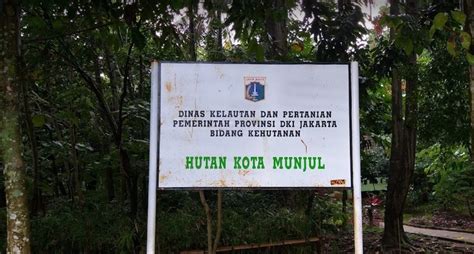 Hutan Kota Munjul Jakarta Timur - Trip Jalan Jalan