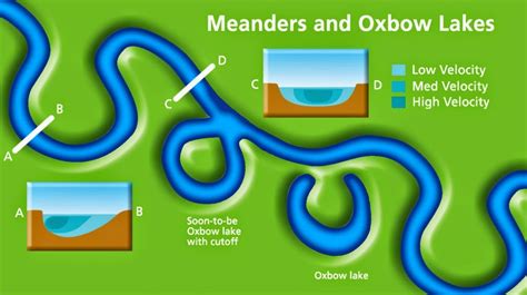 Oxbow Lake Diagram Gcse