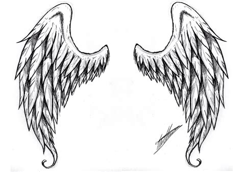 realistic angel wings drawing - Clip Art Library