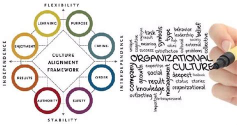 4 Types of Organisational (Organizational) Culture