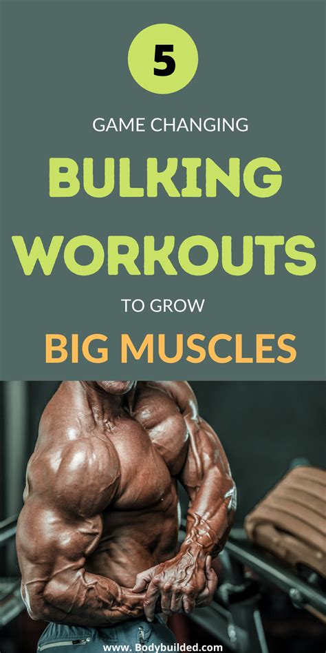 The pros-recommended muscle-building bulking workouts to get big body ...