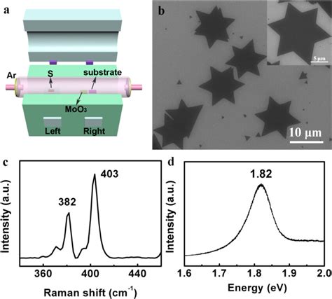 (a) Schematic illustration for the synthesis of MoS2 using the CVD ...