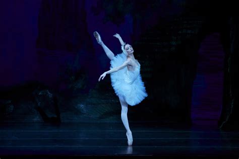 Swan Lake · "Russian National Ballet Theatre"