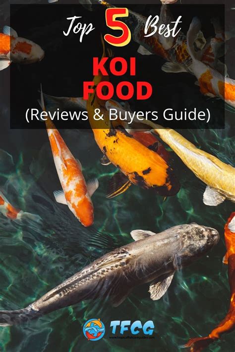 Top 5 Best Koi Food (Reviews & Buyers Guide) | TFCG