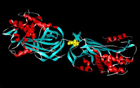 Alpha-1-antitrypsin and Anthrombin III