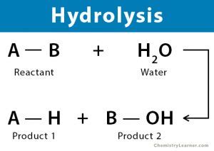 Hydrolysis Reaction: Definition, Equation, and Applications