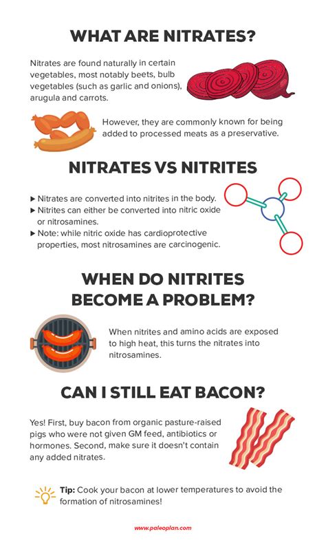 Nitrates: What They Are and When They Can Be Harmful | PaleoPlan